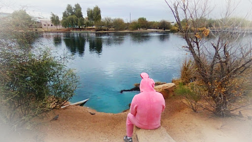 National Reserve «Riparian Preserve at Water Ranch», reviews and photos, 2757 E Guadalupe Rd, Gilbert, AZ 85234, USA