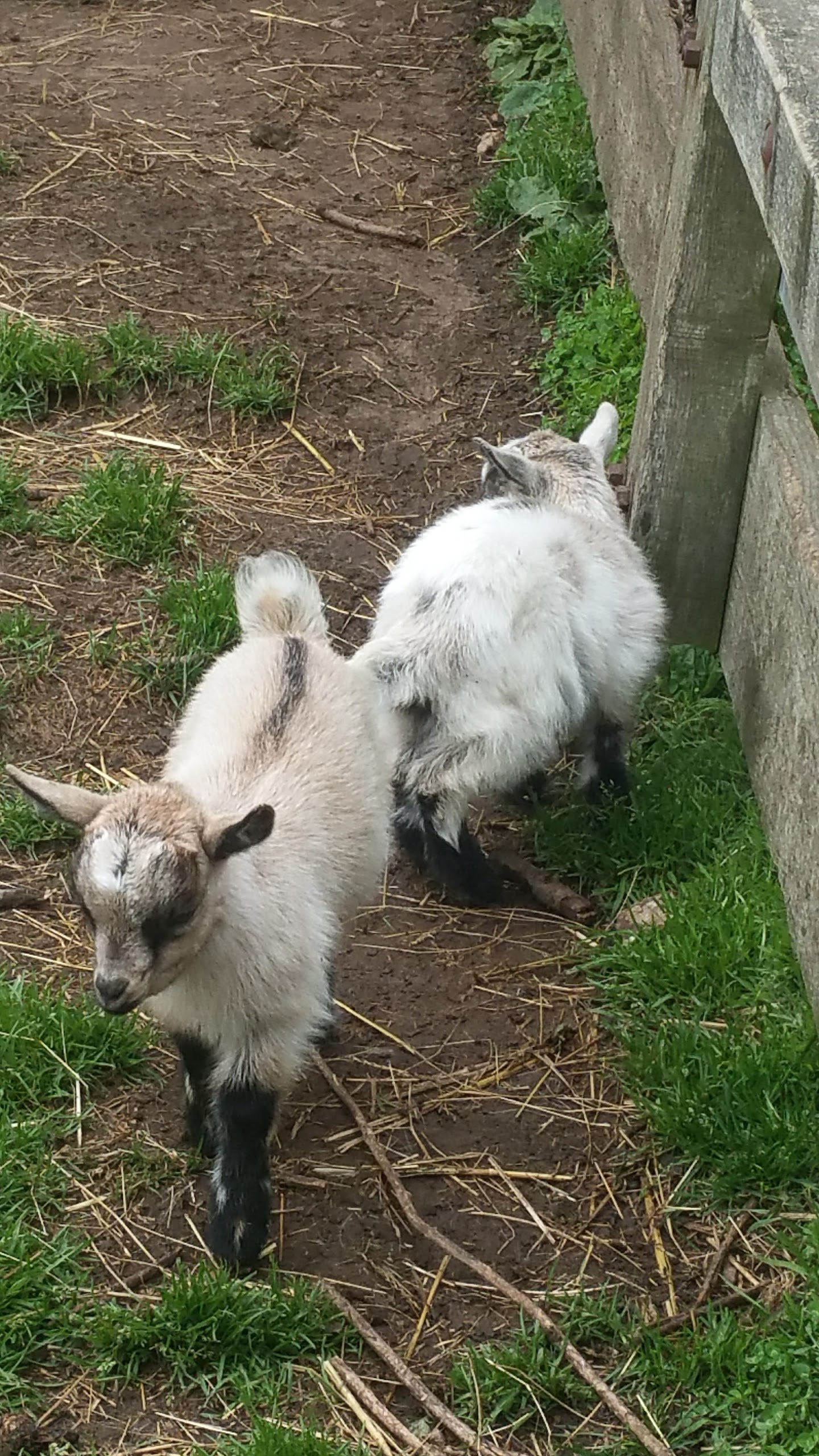 Photo n° 3 de l'avis de Katell.a fait le 14/08/2017 à 07:10
