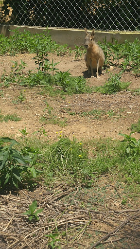 Pet Store «Ponds & Plants», reviews and photos