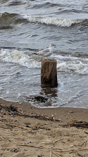 Park «Keyport Waterfront Park», reviews and photos, American Legion Dr, Keyport, NJ 07735, USA