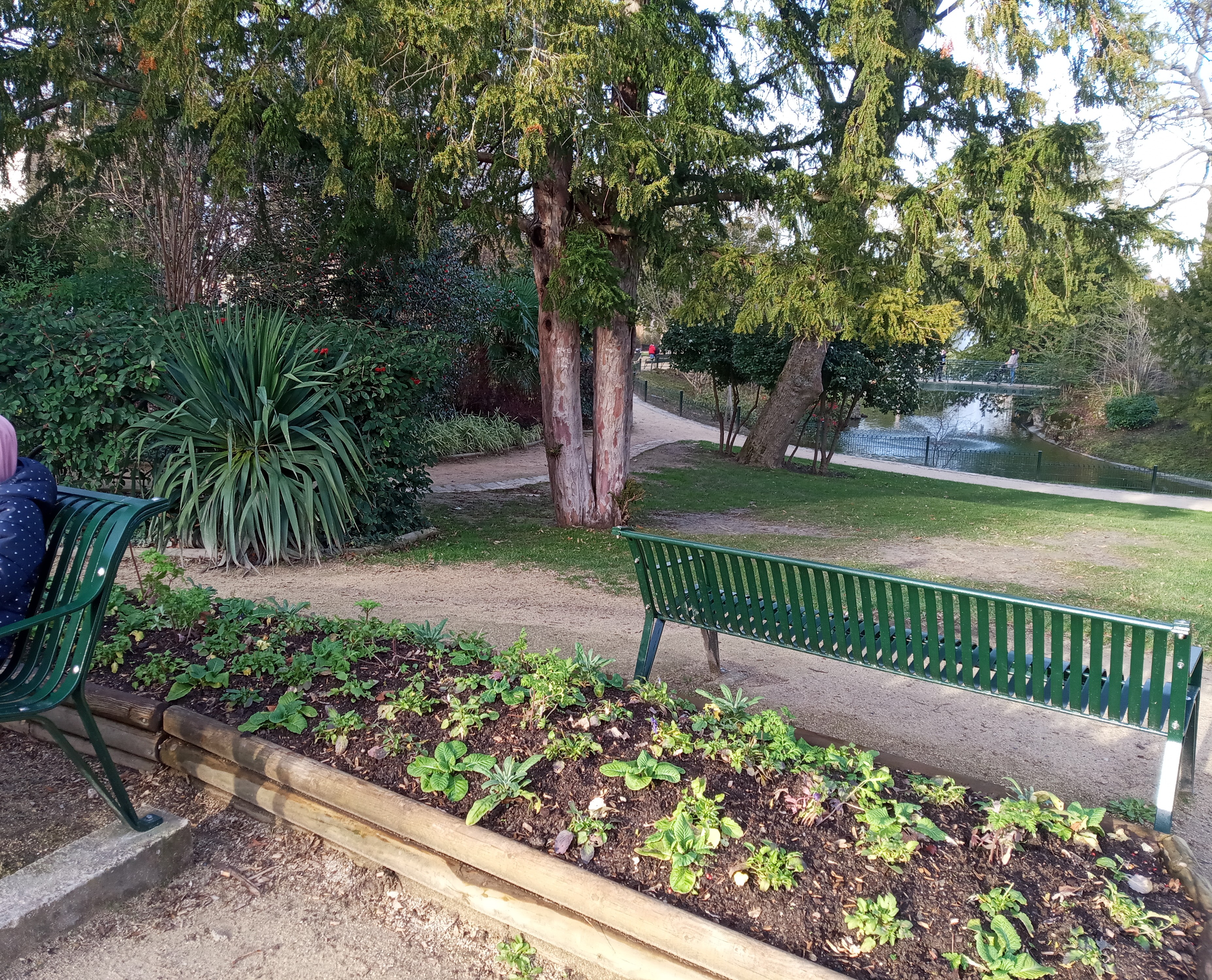 Photo n° 6 de l'avis de Anara.a fait le 20/06/2020 à 20:58