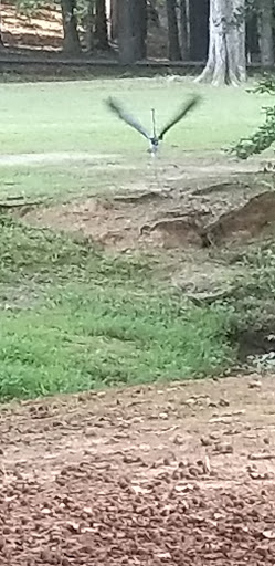 Park «Clark Community Park», reviews and photos, 111 Davis Rd, Stockbridge, GA 30281, USA