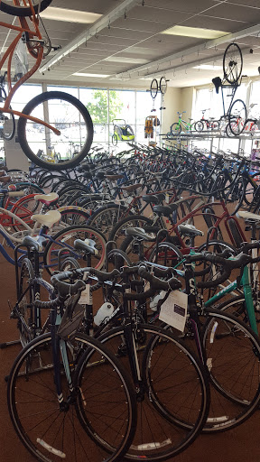 Bicycle Store «Al Petri & Sons Bicycle Center», reviews and photos, 2160 Fort St, Lincoln Park, MI 48146, USA