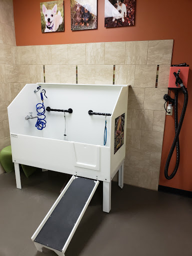 Pet Supply Store «EarthWise Pet Supply», reviews and photos, 7316 Yankee Rd, Liberty Township, OH 45044, USA