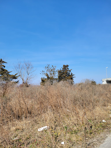  «Ocean City Welcome Center», reviews and photos, 300 W 9th St, Ocean City, NJ 08226, USA