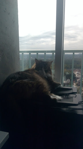 Spa «The Sole Spa», reviews and photos, 254 Pharr Rd NE, Atlanta, GA 30305, USA