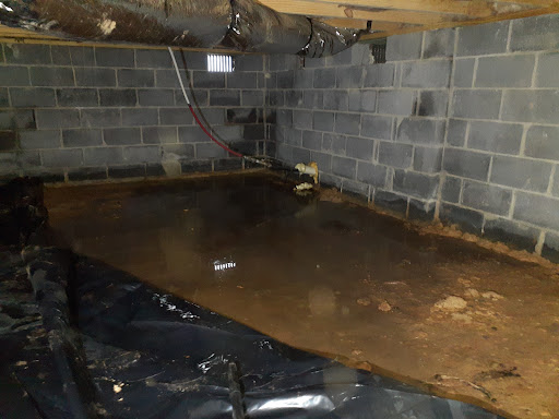 Pest Control Service «Bug Man Exterminating», reviews and photos