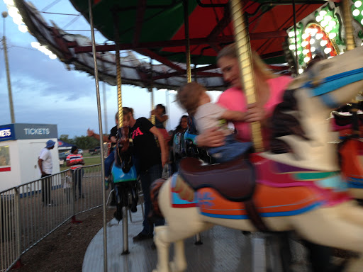 Insurance Company «Alexandria Mega Shelter», reviews and photos