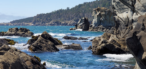 General Store «Ocean Cove General Store», reviews and photos, 23125 CA-1, Jenner, CA 95450, USA