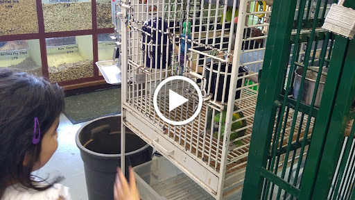 Pet Store «Pettin Place», reviews and photos, 1121 S Wells Ave, Reno, NV 89502, USA