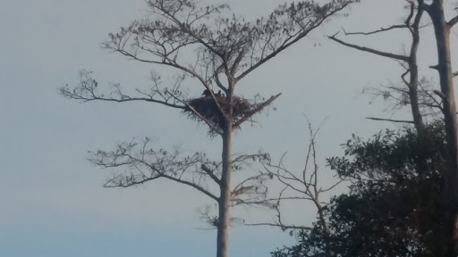 Water Park «Splash Adventure Water Park», reviews and photos, Quiet Waters Park Dr, Deerfield Beach, FL 33442, USA