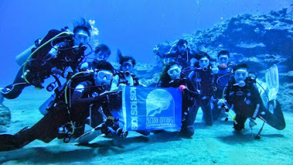 Hsinchu diving insects EOT diving training center