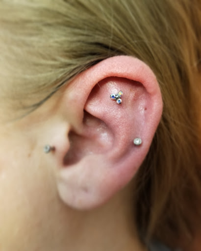 Body Piercing Shop «Skin Gallery Tattooing & Body Piercing», reviews and photos, 1402 Ogden Ave, Downers Grove, IL 60515, USA
