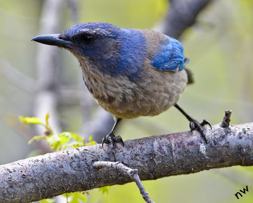 Pet Supply Store «Petco Animal Supplies», reviews and photos, 1820a W Uintah St, Colorado Springs, CO 80904, USA