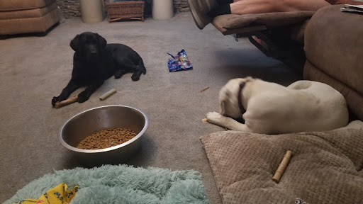 Pet Supply Store «Petsense Middlesboro», reviews and photos, 1875 N 25th St, Middlesboro, KY 40965, USA