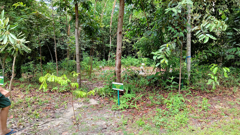 Hutan Kota Telaga Sari