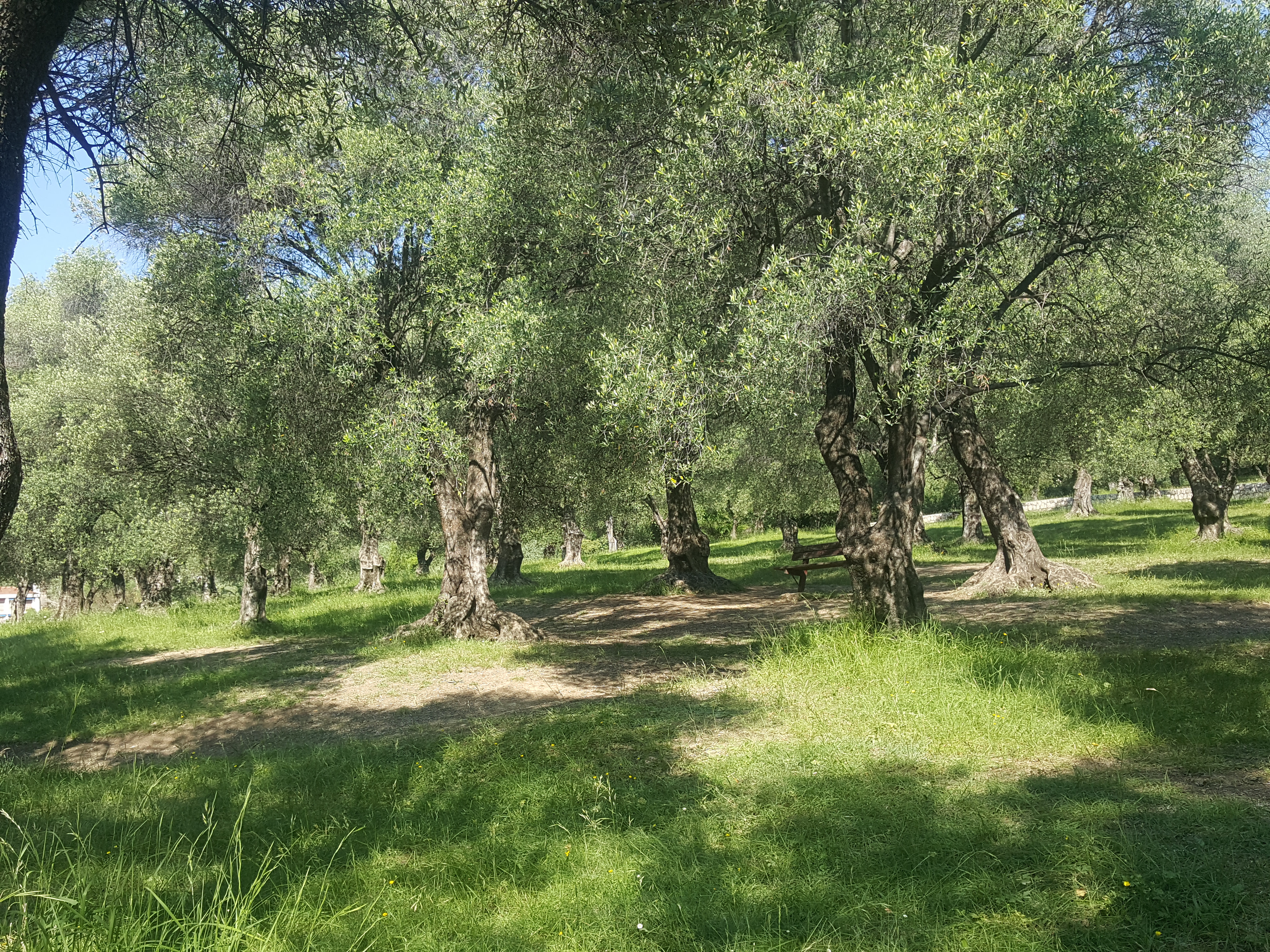 Photo n° 3 de l'avis de Denis.r fait le 30/06/2018 à 09:46