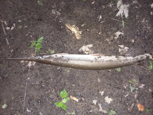 Park «Lou Berliner Park», reviews and photos, 1300 Deckenbach Rd, Columbus, OH 43223, USA