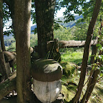 Photo n°3 de l'avis de Roby.0 fait le 12/07/2020 à 07:59 sur le  Circolo Acli Il Ramaceto à San Colombano Certénoli