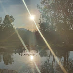 Photo n°1 de l'avis de Ellen. fait le 03/06/2022 à 07:54 sur le  La Piccola Fattoria à Cunardo