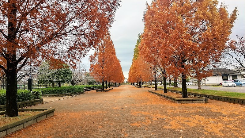 舎人公園陸上競技場