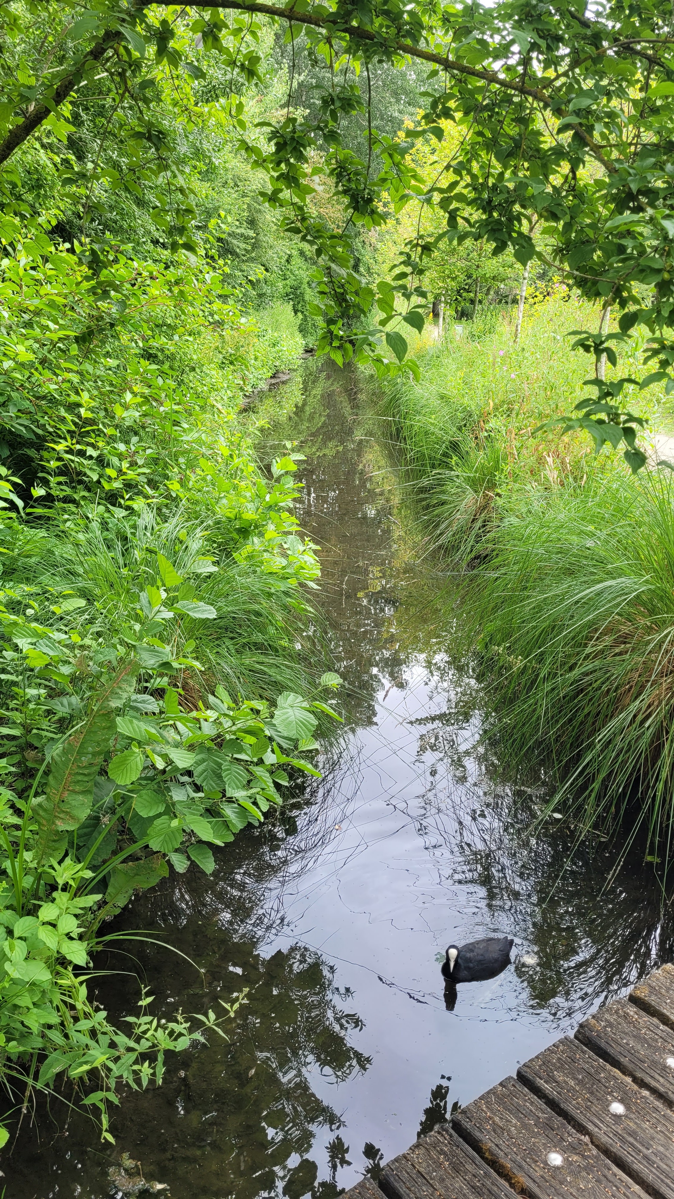 Photo n° 15 de l'avis de Laurent.R fait le 13/05/2023 à 13:11