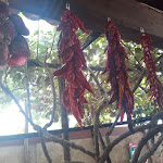 Photo n°6 de l'avis de Gessy.i fait le 31/07/2021 à 16:30 sur le  I Cedri Agriturismo Biologico à Orsomarso