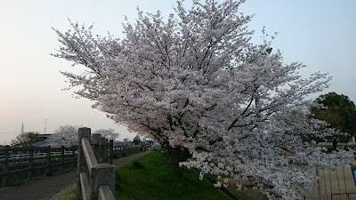 西喜光地公園