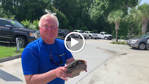 Used Car Dealer «Tillman Auto», reviews and photos, 8768 Beach Blvd, Jacksonville, FL 32216, USA