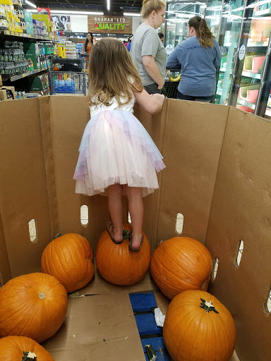 Shopping Mall «Florence Mall», reviews and photos, 301 Cox Creek Pkwy #78, Florence, AL 35630, USA