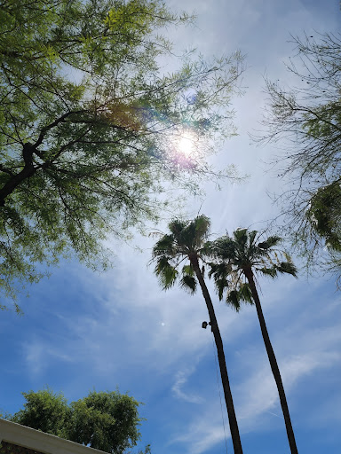 Water Park «Oasis Water Park», reviews and photos, 8000 S Arizona Grand Pkwy, Phoenix, AZ 85044, USA