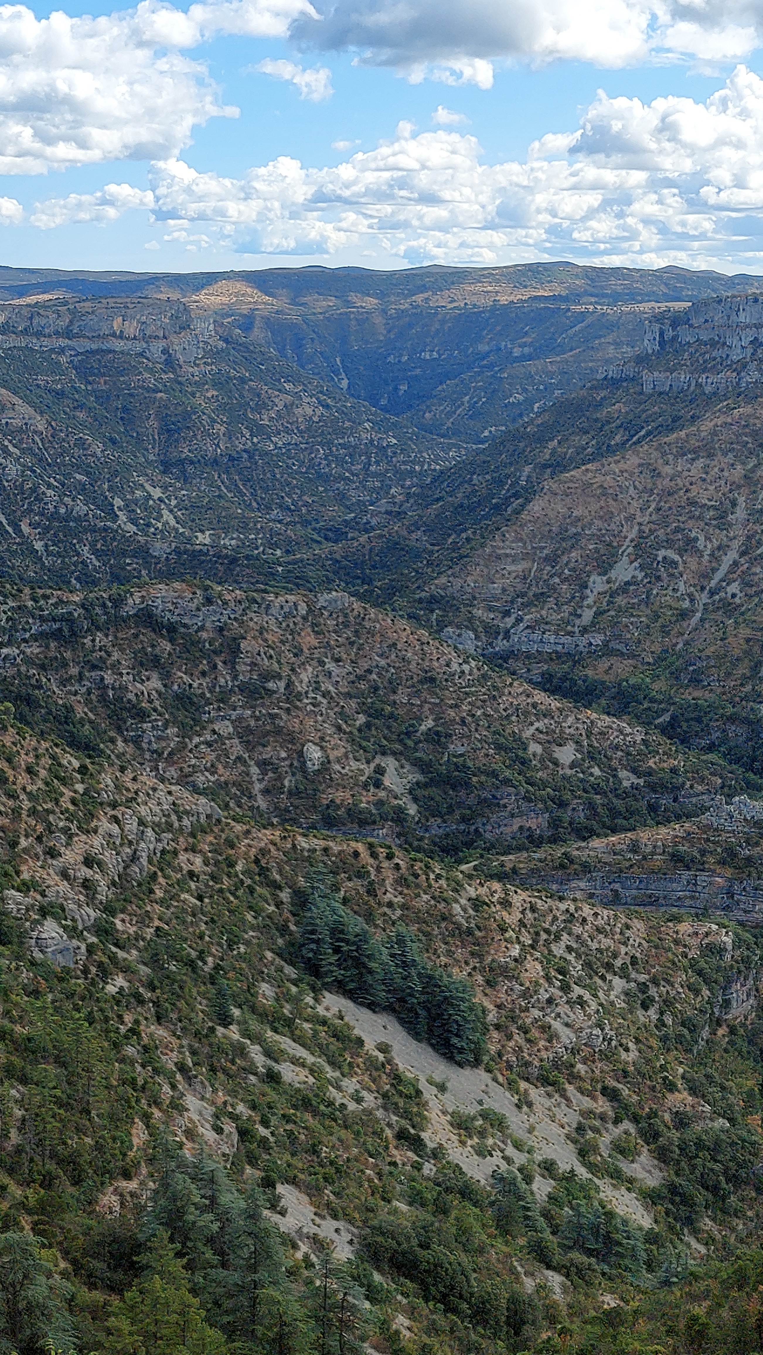 Photo n° 3 de l'avis de Ame.G fait le 28/08/2023 à 19:16
