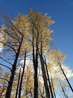 Les Mason State Park - photo 21