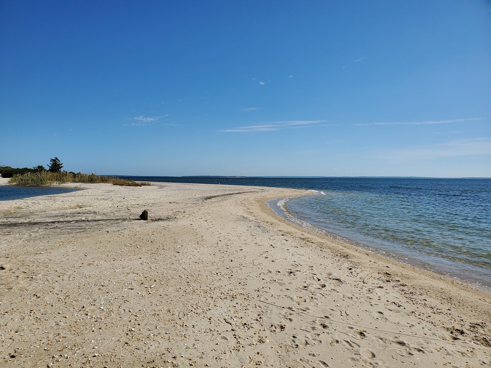 Photo of South Jamesport Beach with bright sand surface