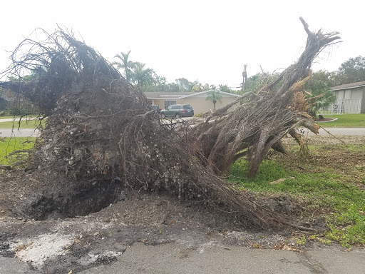 Park «Continental Park», reviews and photos, 1000 SW 82nd Ave, Kendall, FL 33156, USA