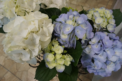 Florist «Carrollwood Florist», reviews and photos, 11745 N Dale Mabry Hwy, Tampa, FL 33618, USA