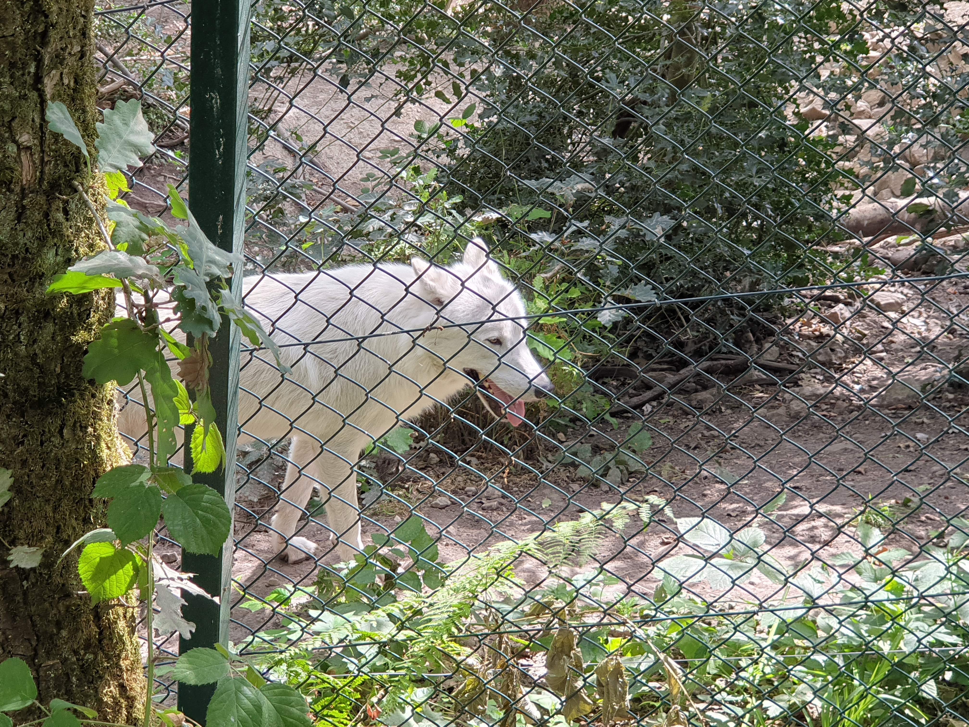 Photo n° 3 de l'avis de Sia.u fait le 18/08/2020 à 16:01