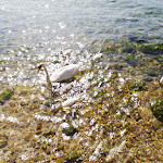 Photo n°4 de l'avis de Enrico.i fait le 04/06/2022 à 20:02 sur le  Ristorante l'antico Frantoio à Pai