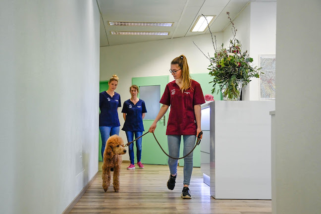 Tierklinik Rossweid