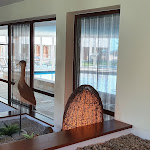 Photo n°2 de l'avis de Angelika.. fait le 14/09/2021 à 06:17 sur le  Das Mühlwald - Quality Time Family Resort à Brixen