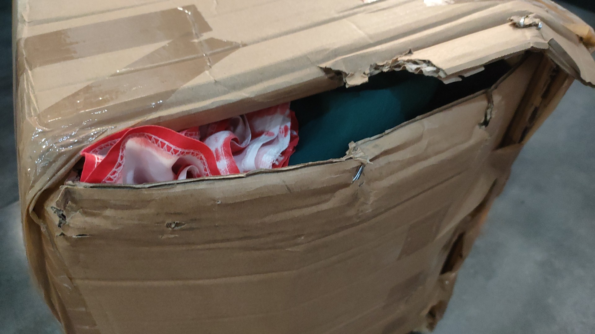 Photo n° 3 de l'avis de PAUL.E fait le 20/08/2021 à 04:30