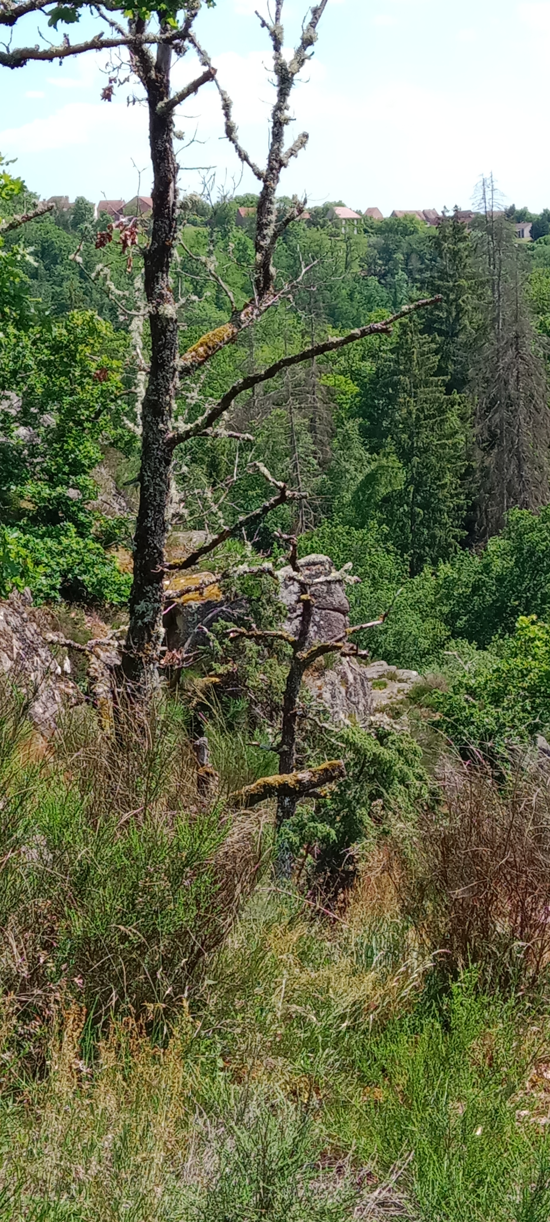 Photo n° 2 de l'avis de Sébastien.h fait le 28/05/2023 à 18:59