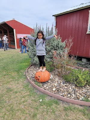 Rockin K Farms - photo 67