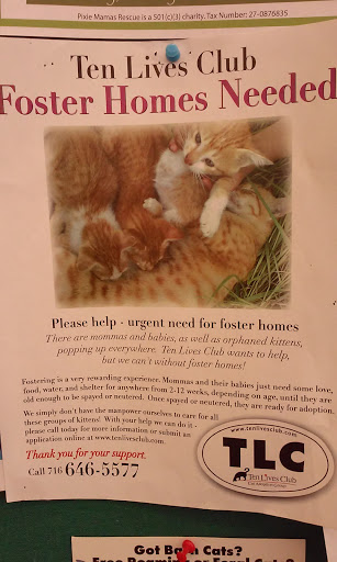 Pet Supply Store «Pet Supplies Plus», reviews and photos, 2155 Delaware Ave, Buffalo, NY 14216, USA