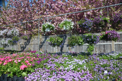 Florist «Guaranteed Plants & Florist», reviews and photos, 504 Locust Point Rd, Rumson, NJ 07760, USA