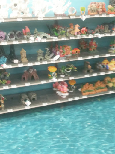 Pet Supply Store «Petco Animal Supplies», reviews and photos, 1704 US Hwy 27 S, Sebring, FL 33870, USA