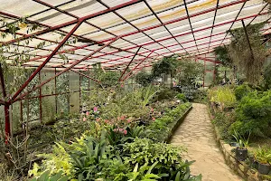 Plant Conservatory image