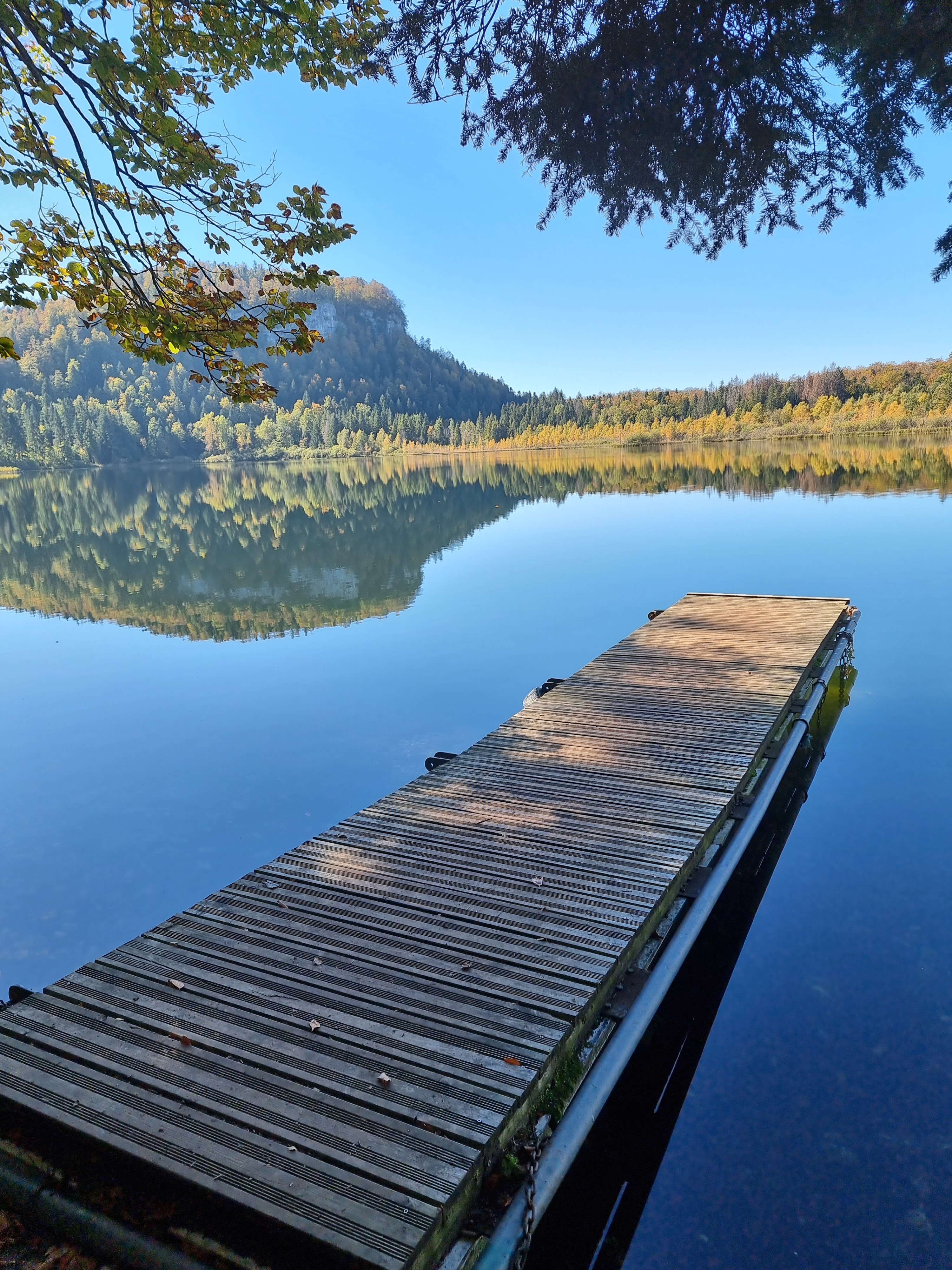 Photo n° 4 de l'avis de Viktória.i fait le 16/10/2021 à 14:46