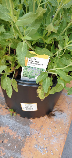 Home Improvement Store «The Home Depot», reviews and photos, 17810 Garland Groh Blvd, Hagerstown, MD 21740, USA