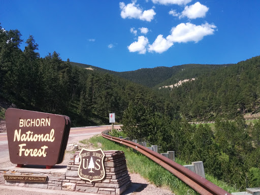 National Forest «Bighorn National Forest», reviews and photos